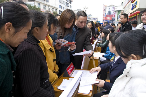 炎陵县成功举办“送政策、送信息、送岗位、送服务”春风行动公益活动