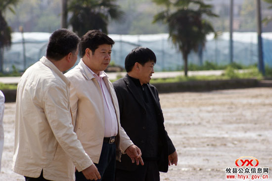 攸县县委书记邝邹飞到新市镇调研农业生产