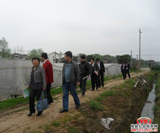市人大常委会副主任鲁立彬一行到新市镇视察农业科技工作