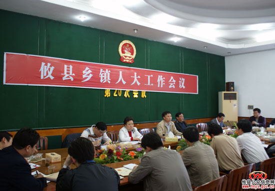 攸县召开乡镇人大工作会议