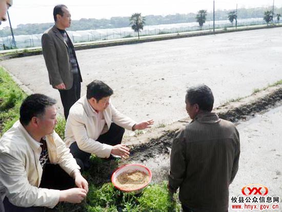 攸县县委书记邝邹飞一行到新市镇进行农业调研