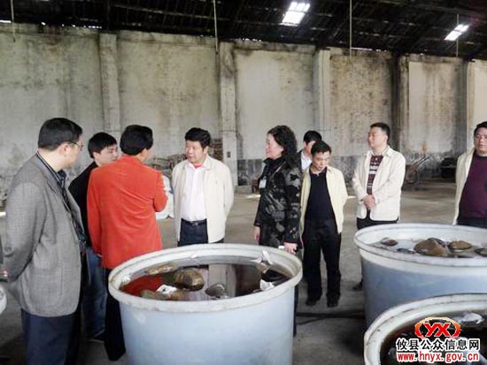 攸县县委书记邝邹飞一行到新市镇进行农业调研