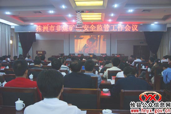 全市非煤矿山安全监管工作会议在攸县召开
