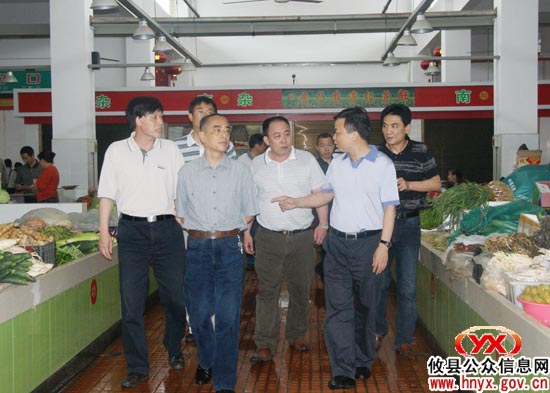 省卫生厅副巡视员丁绍云来攸县调研“洁净大行动”及农村改厕工作