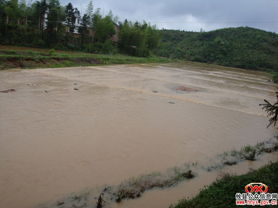 邝邹飞、胡湘之等前往槚山乡察看灾情指导救灾工作