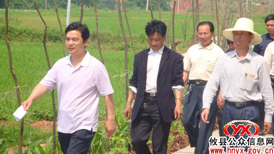 “洁净大行动”：槚山乡组织县、乡人大代表开展视察