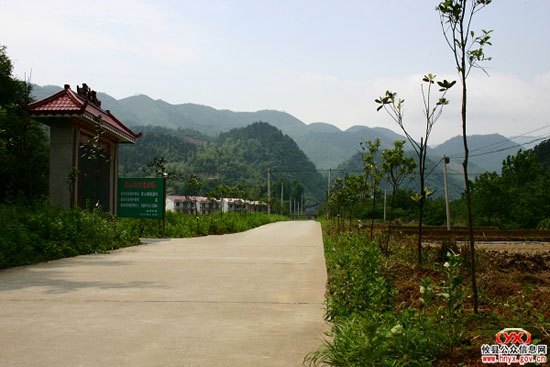 “洁净大行动”：攸县鸾山镇桃源村积极服务旅游开发