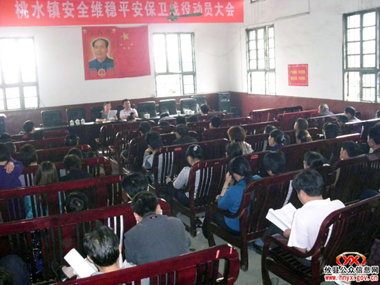 攸县桃水镇进行安全维稳平安保卫战役动员