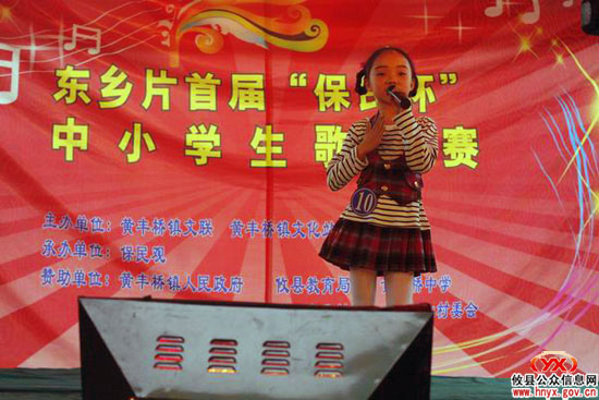 攸县东乡片首届“保民杯”中小学生歌手赛在黄丰桥镇举行