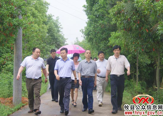 省卫生厅副巡视员丁绍云来攸县调研“洁净大行动”及农村改厕工作
