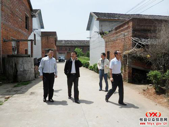 陈可勇就新市及周边农业灌溉问题进行现场办公