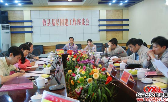 团省委副书记冯海燕一行参加攸县基层团建工作座谈会