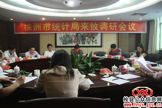 市统计局局长丁润高一行来攸县开展专题调研