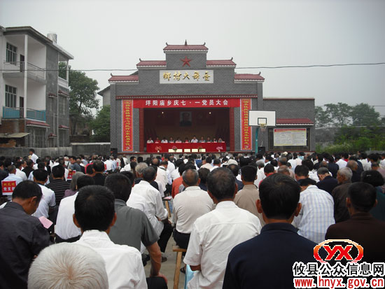 攸县坪阳庙乡召开千名党员大会隆重庆“七•一”