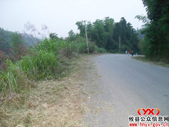 攸县酒埠江镇组织公路养护等部门对通往景区公路进行“美容”