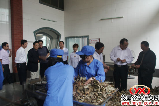 省县域经济研究学会专家组成员在攸县进行实地考察