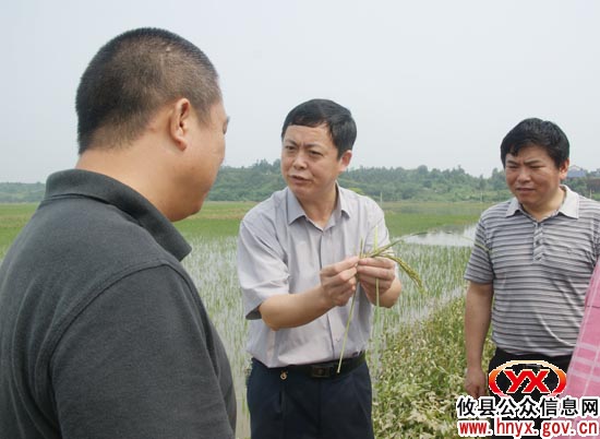 陈可勇深入莲塘坳乡指导防汛抗灾工作