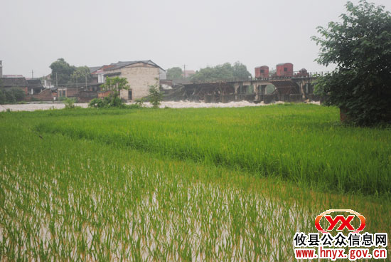 攸县莲塘坳乡全力防汛抗灾救助受困群众