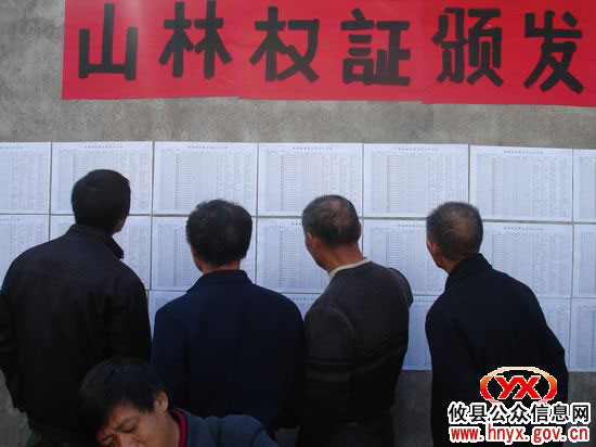 攸县举行首批林权证发放仪式