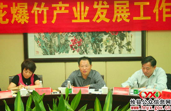 省安监局李大剑一行到攸县调研烟花爆竹产业发展工作