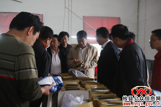 邝邹飞带队深入有关乡（镇）村组察看经济社会发展情况