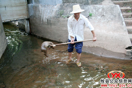 【党员风采】护渠管水终不悔——记县水利系统职工彭跃进