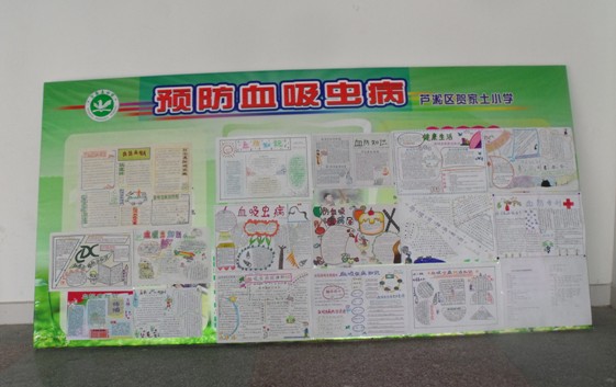 我区举办疫区中小学生血防知识手抄报制作竞赛