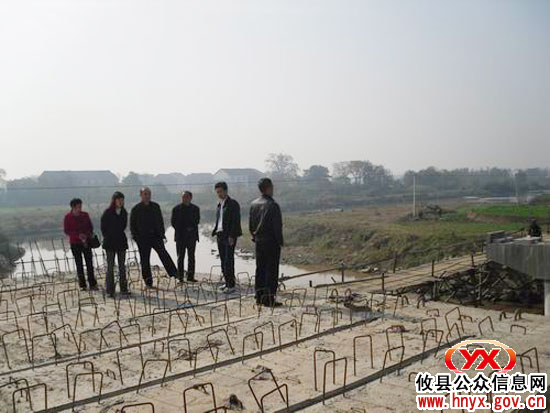 攸县大同桥镇组织市、县人大代表视察重点工程