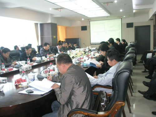 芦淞区召开"十二五"规划纲要终期成果汇报会