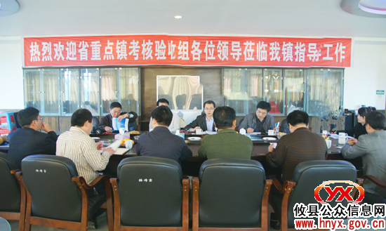 省重点镇考核验收组到攸县网岭镇验收小城镇建设