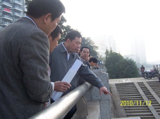 市委常委、常务副市长王志刚一行督查我区城市提质工作