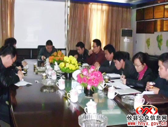 村级联合办公：攸县桃水镇召开碰头会