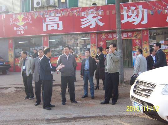 市委常委、常务副市长王志刚一行督查我区城市提质工作