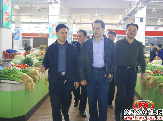省重点镇考核验收组到攸县网岭镇验收小城镇建设