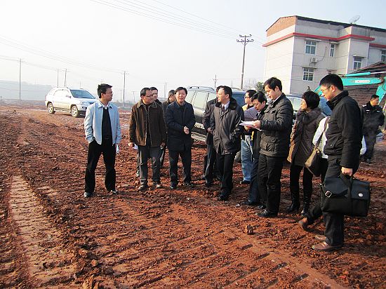顾峰主任率队视察云龙示范区项目建设
