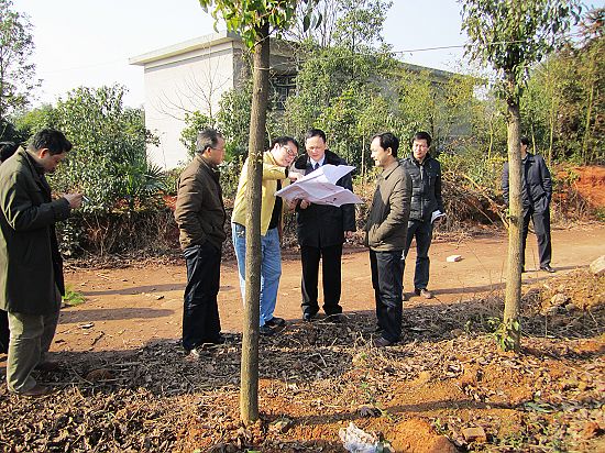顾峰主任率队视察云龙示范区项目建设