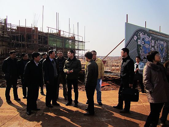 顾峰主任率队视察云龙示范区项目建设