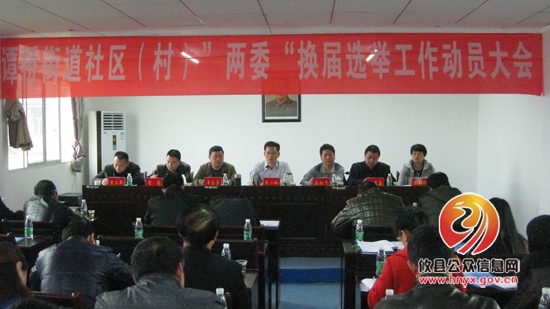 谭桥街道召开社区（村）“两委”换届选举动员会