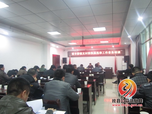 黄丰桥镇召开支村委换届选举工作业务培训会