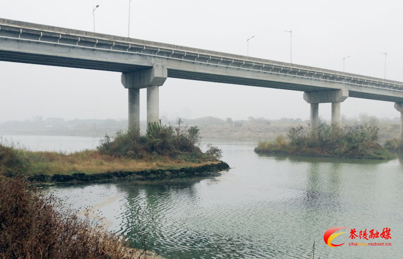 洣江街道：清理河道垃圾 保护一江碧水