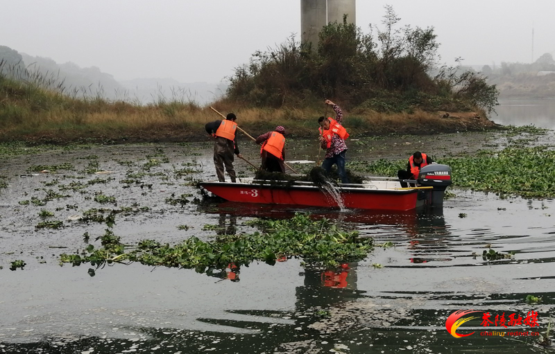 洣江街道：清理河道垃圾 保护一江碧水