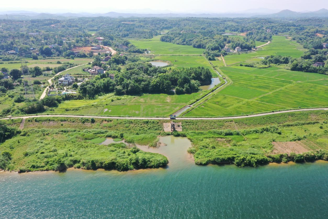 顶酷暑、钻茅草、趟河水，全力以赴守护一江碧水