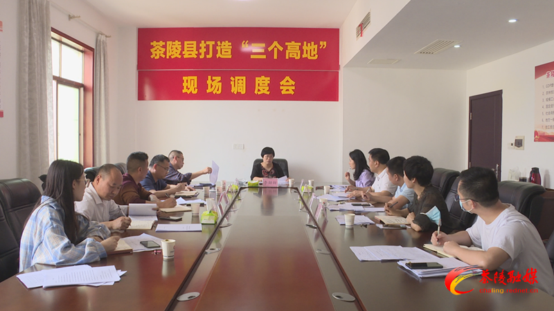 茶陵县打造“三个高地”指挥部品牌推广组召开工作调度会