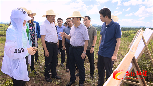 茶陵通用机场建设项目落户马江镇东冲村