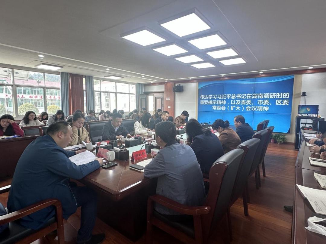 龙潭镇：传达学习习近平总书记在湖南考察时的重要讲话和指示精神以及省委、市委、区委常委会（扩大）会议精神