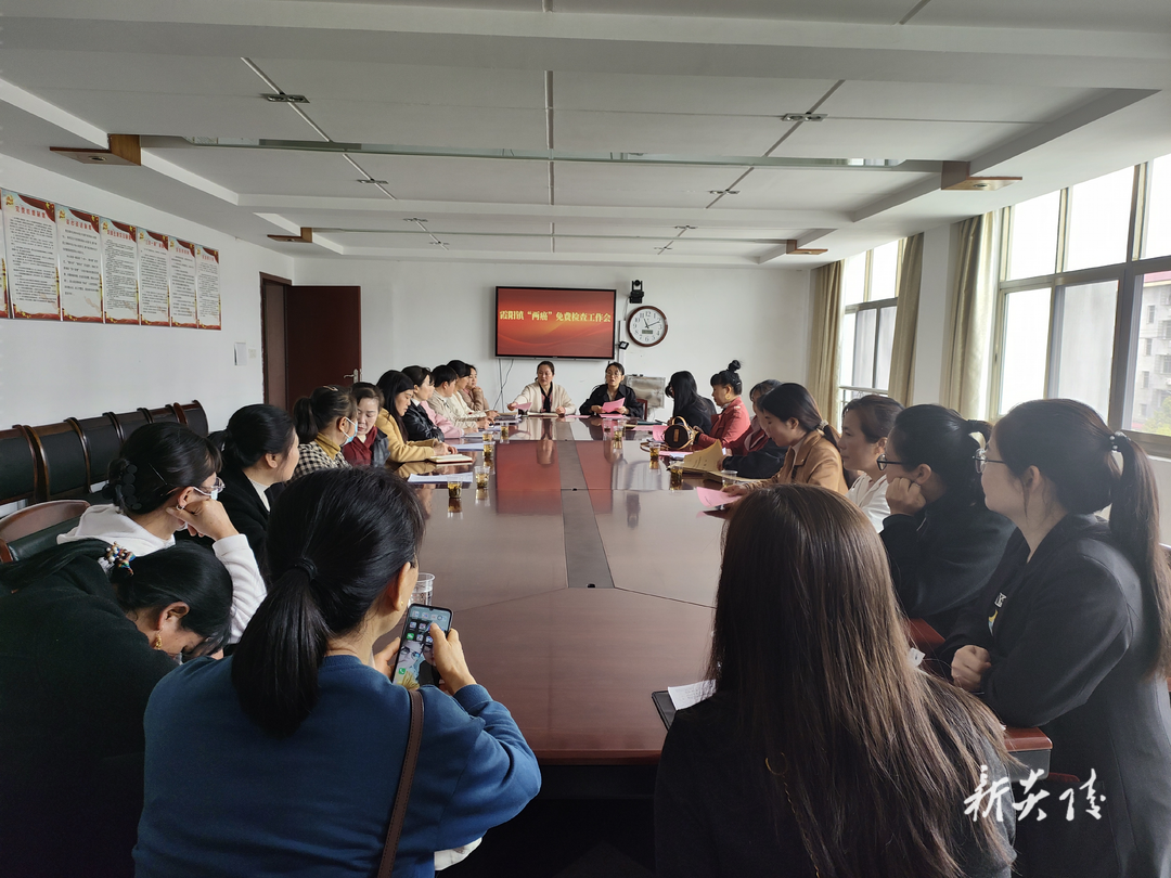 霞阳镇妇联召开重点工作部署会