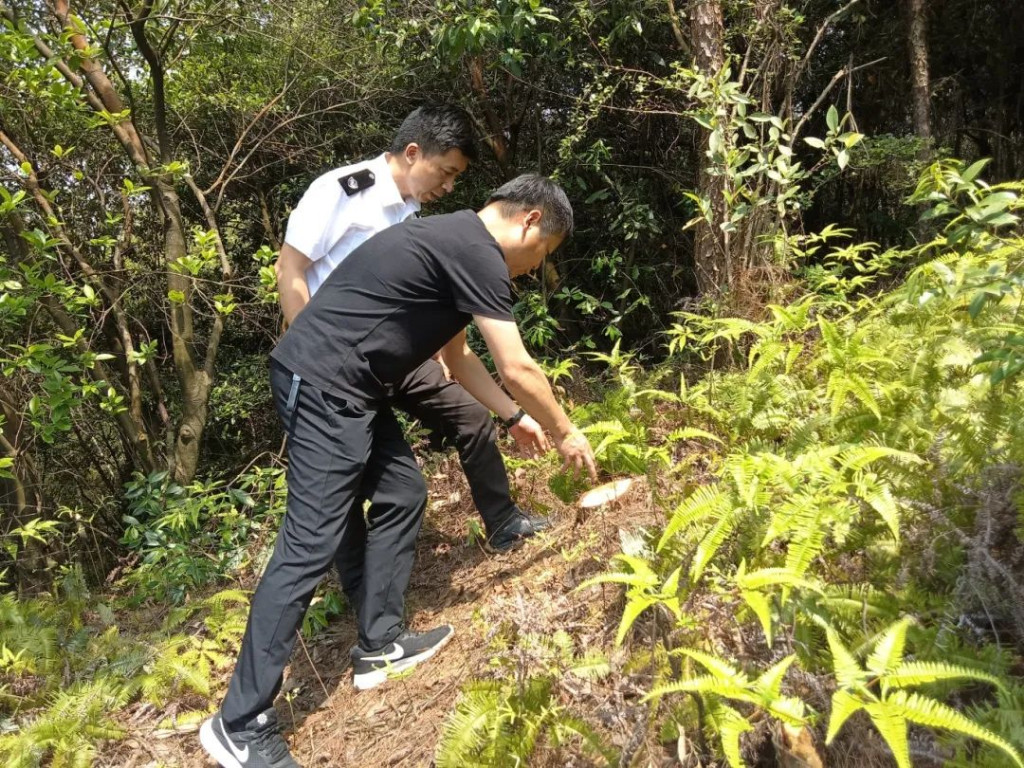 湘东、醴陵开展湘赣边区域林业生态圈一体化检疫执法联合行动