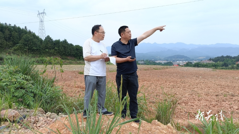 霞阳镇：筑牢粮食安全防线 赋能农业可持续发展