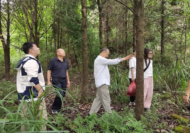 中央财政林草科技推广示范项目启动会在攸县召开