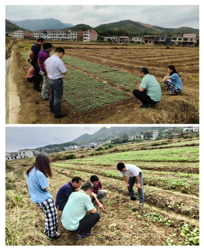 明月镇：“四个到位”推动油菜秋冬种落地见效